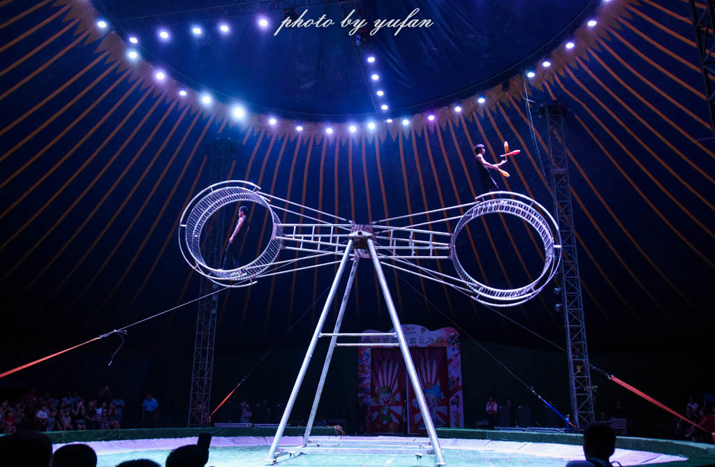 皇家大马戏巴伐利亚,广东哪里有大马戏