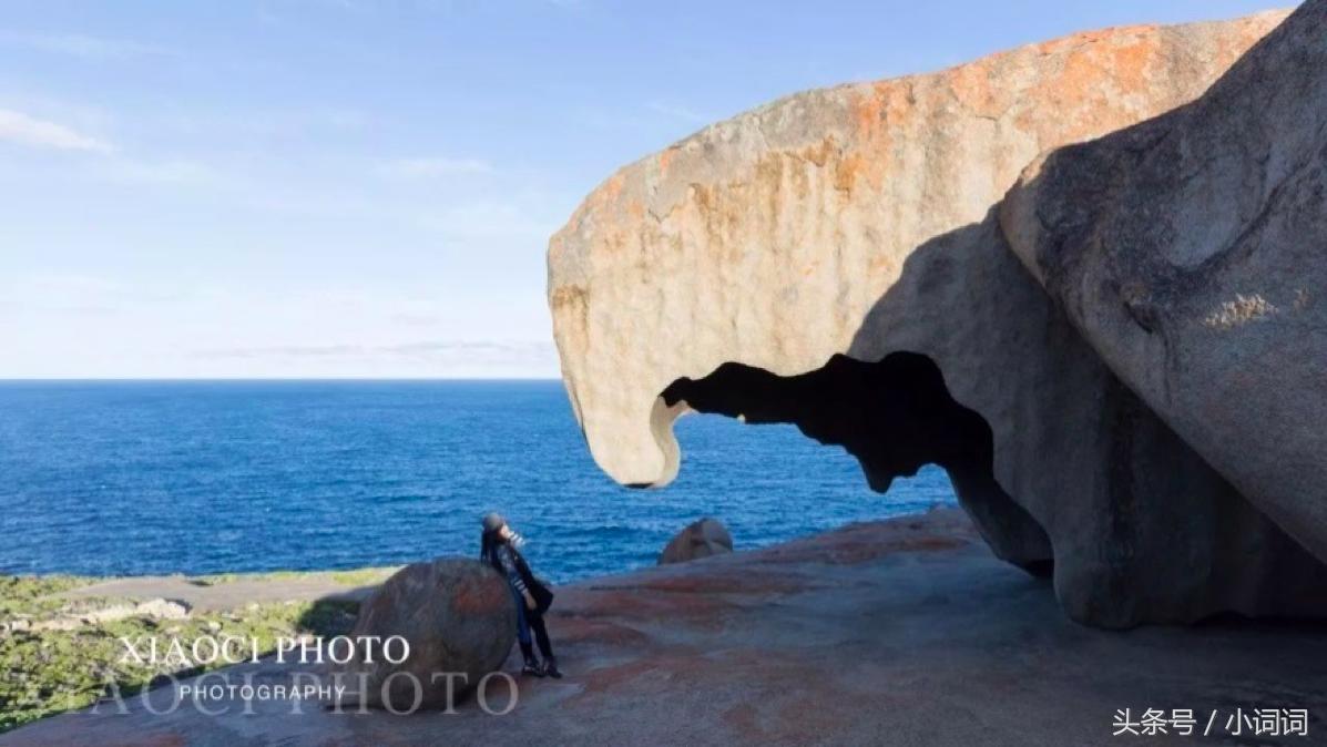 玩转南澳大利亚，这篇最全旅行攻略一定可以帮到你