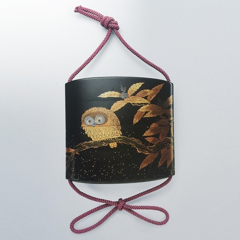 长知识升逼格｜来看看大蜥蜴国有多了不起