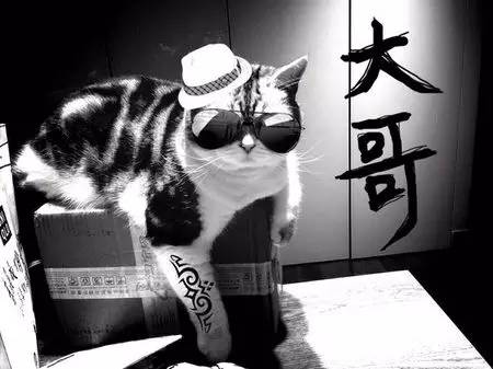 如小果专访：菲比和她家的肉丝！