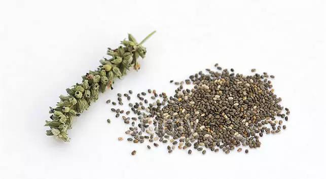 奇亚籽的食用方法,奇亚籽能量