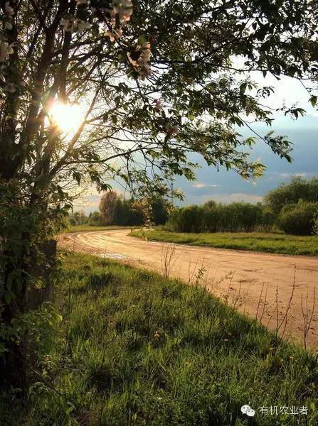 曾经结伴同行,曾经一起走过的路图片