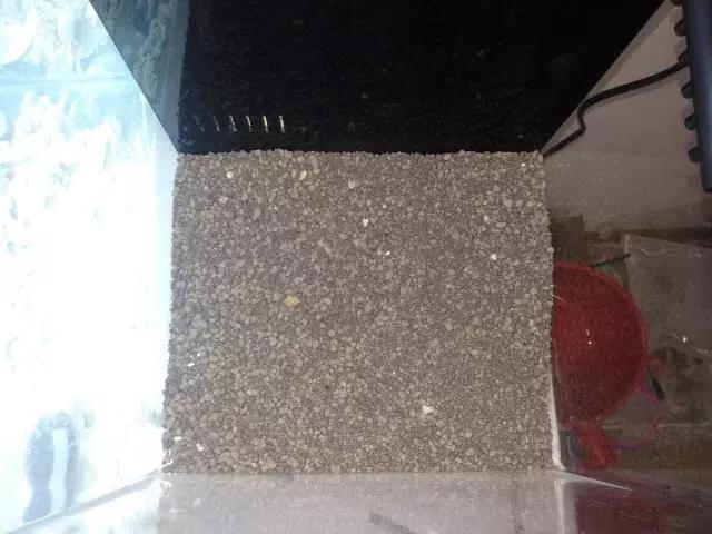 开缸的日记,开缸日记小鱼缸