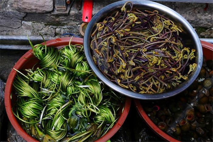 14道菜肴推荐,14道菜海鲜大餐