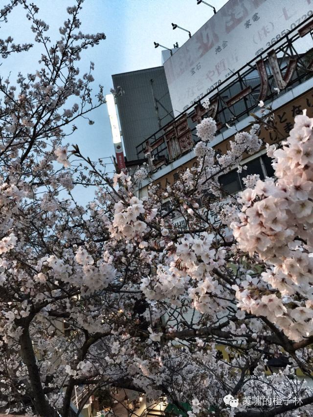 爆品和便宜有什么区别,爆品和爆款的区别