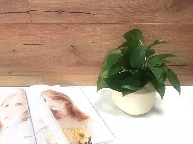 新技能get玩的停不下来了,怎么轻松开椰子吃到椰子肉