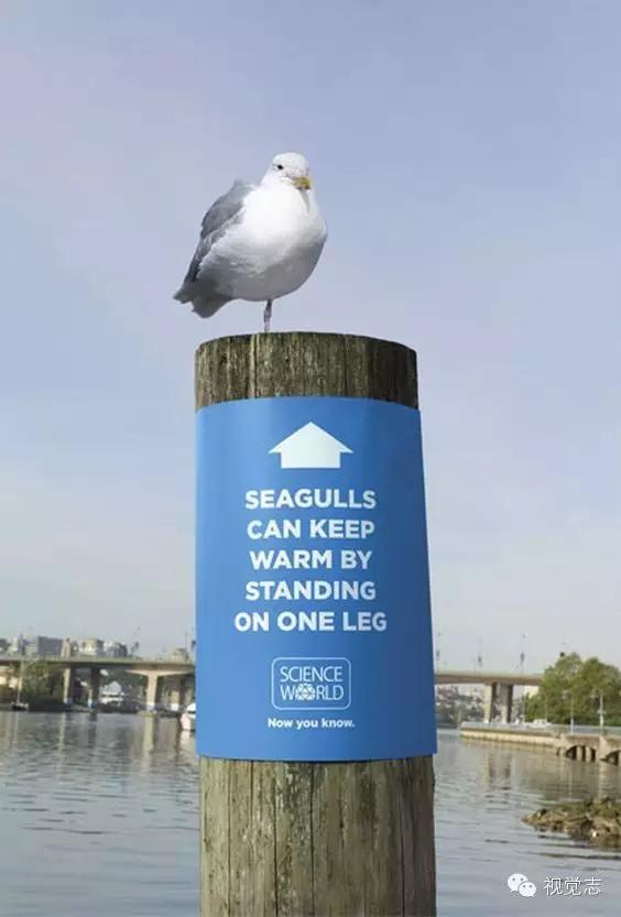 这些冷知识你都知道的吗,这些冷知识你都知道吗