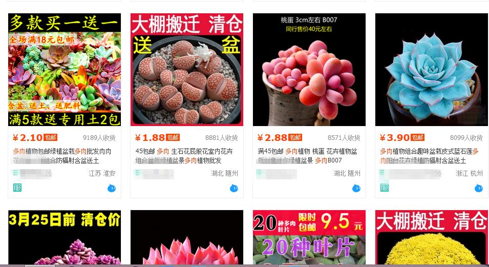 鑺卞尃绮惧搧澶氳倝,鑺卞尃澶氳倝