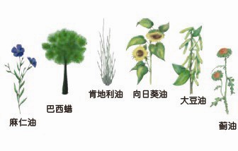 木蜡油家具真的有效果吗,木蜡油真的环保吗能用吗