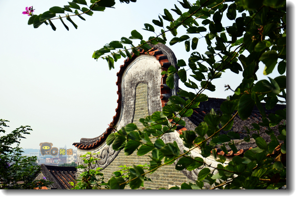 十二道锋味谢霆锋潮汕牛肉,十二道锋味隆苑咖啡谢霆锋