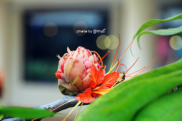 人生必需要有一次闺蜜游——沙巴五日游