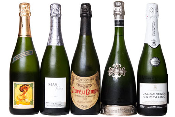 起泡酒的种类及图解,世界起泡酒