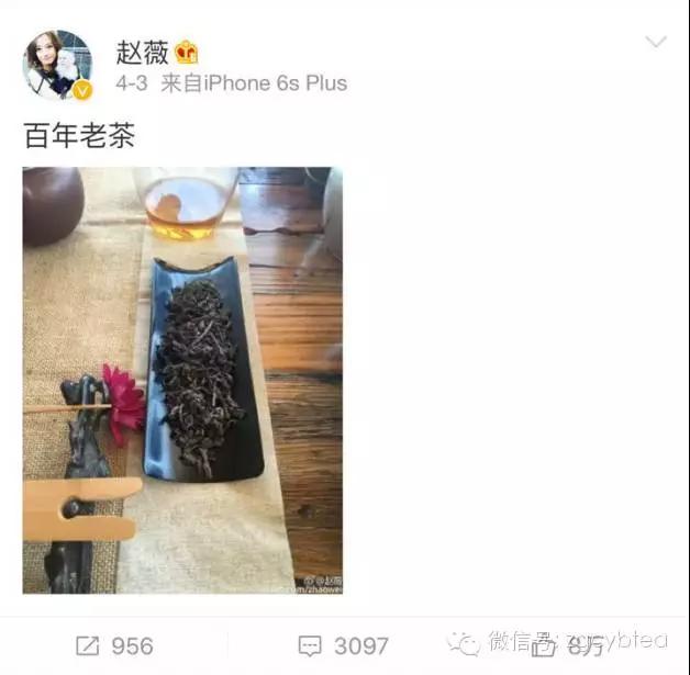 真实的老茶背后的秘密,如何分辨20多年的真假老茶