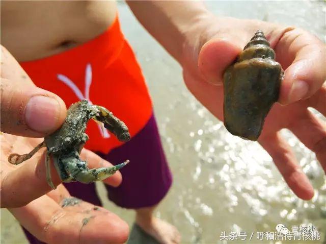 刷我滴卡泰国原版,呼和浩特直飞普吉岛