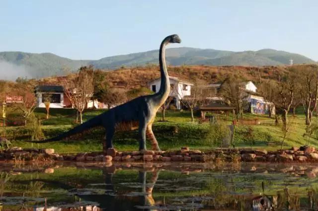 堵在路上别着急,堵在高速上不要慌