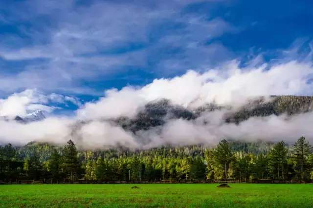一封来自*藏西**的辞职信