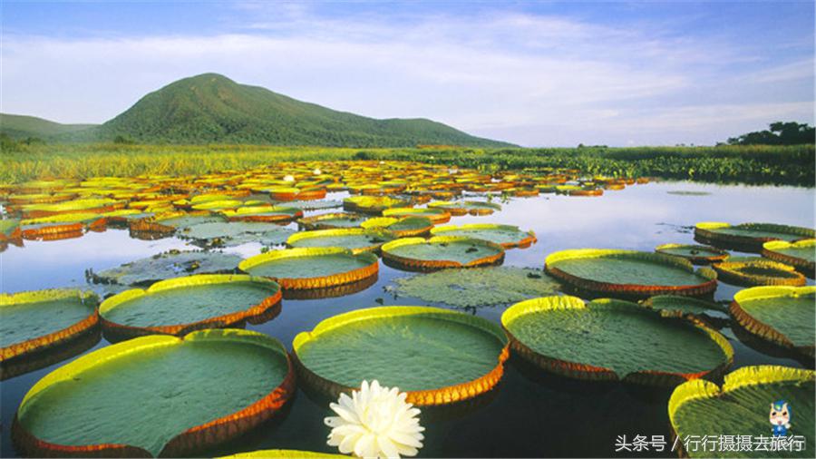 金砖旅行→→10000公里的飞行→→到桑巴国:巴西