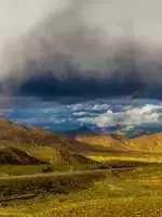 一封来自*藏西**的辞职信