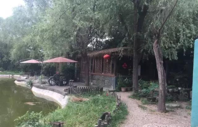 推荐西安好吃的小众菜馆,西安这10家藏在街头巷尾的私房菜