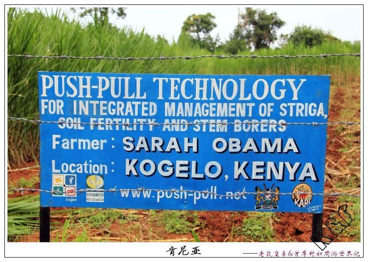 奥巴马幽默演讲引爆全场,奥巴马幽默集锦