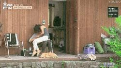 李孝利最美视频,李孝利有多美