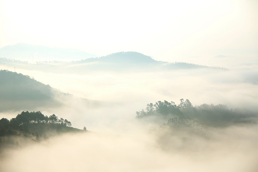 罗定看云海需要什么天气条件,云浮大云山看云海