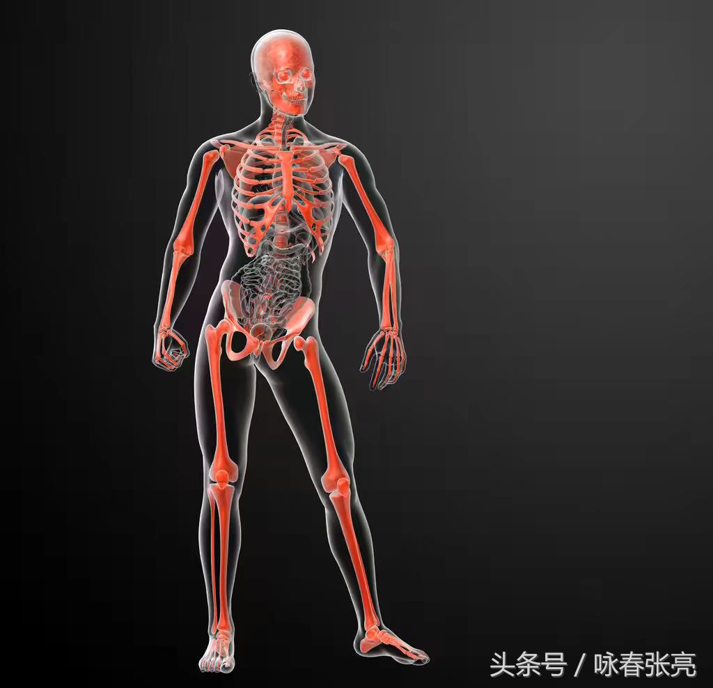 咏春拳十大杀招图解,咏春拳击打颈部招数