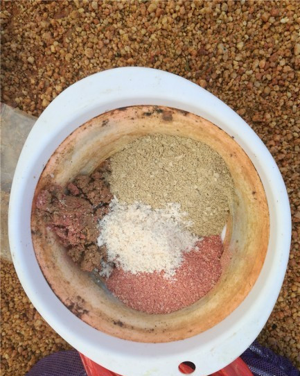 广西玉林钓土鲮鱼钓法,玉林钓土鲮的方法