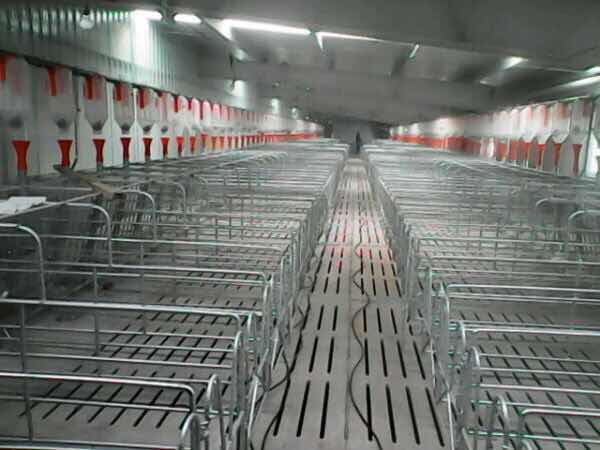 你以为你在外漂泊过得很好,其实你不知道老家的人有多少财产