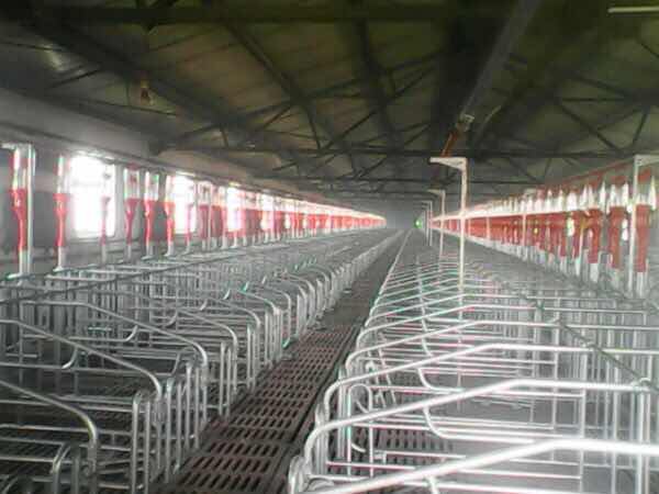 你以为你在外漂泊过得很好,其实你不知道老家的人有多少财产