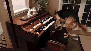 学会这招一百杯不醉,泡妹打野教学