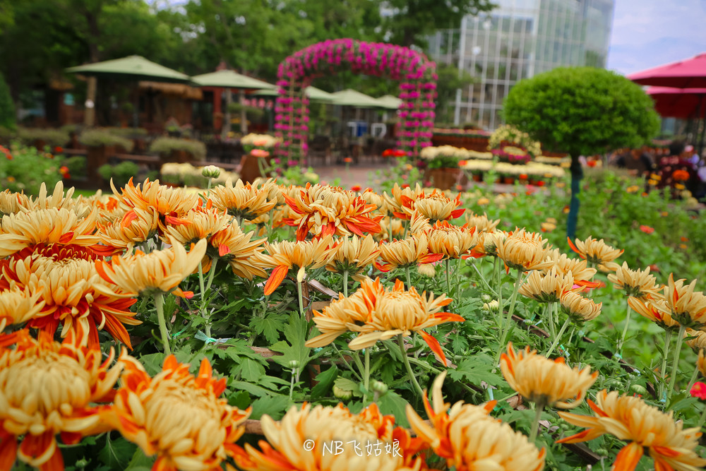 南通适合亲子游玩的园区,南通绿博园旁边游玩的地方