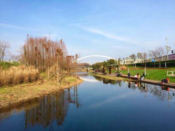 如果你来上海玩想打卡魔都,如果你要去上海我应该说什么