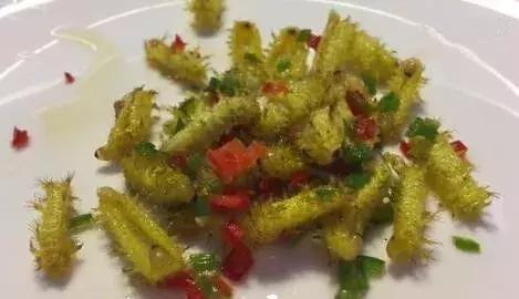 omg毛毛虫,omg吃虫子完整版