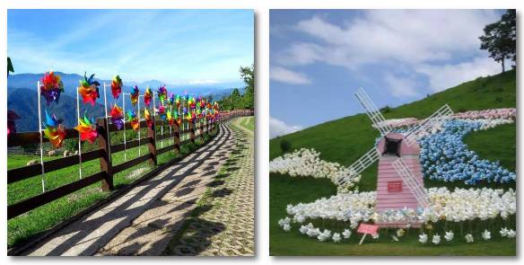 热气球南海桂城,桂城足球农庄团购