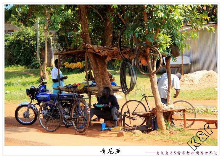 肯尼亚邮局*规则潜**：只要你吃狗肉，我就坚决不给你盖邮戳