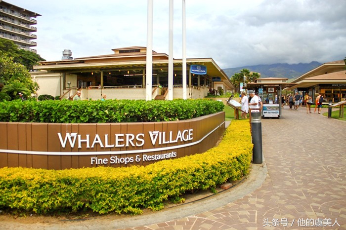 夏威夷去哪里购物比较好,夏威夷旅游攻略购物介绍