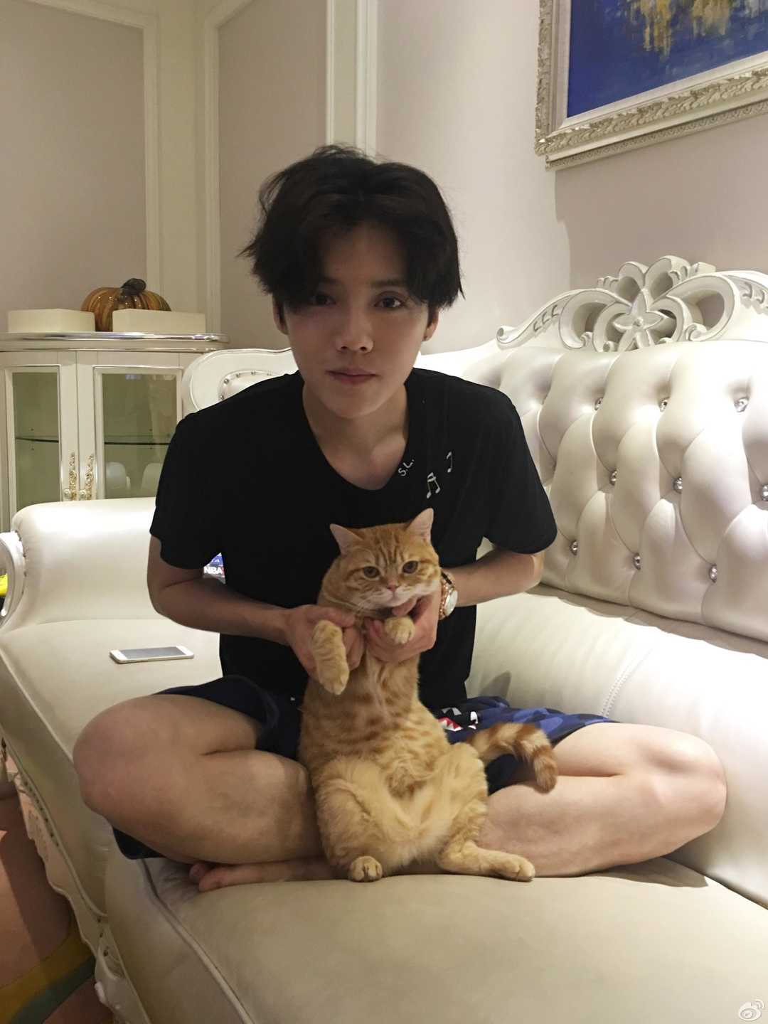 你是从什么时候喜欢鹿晗的,喜欢鹿晗的人都是什么样的人