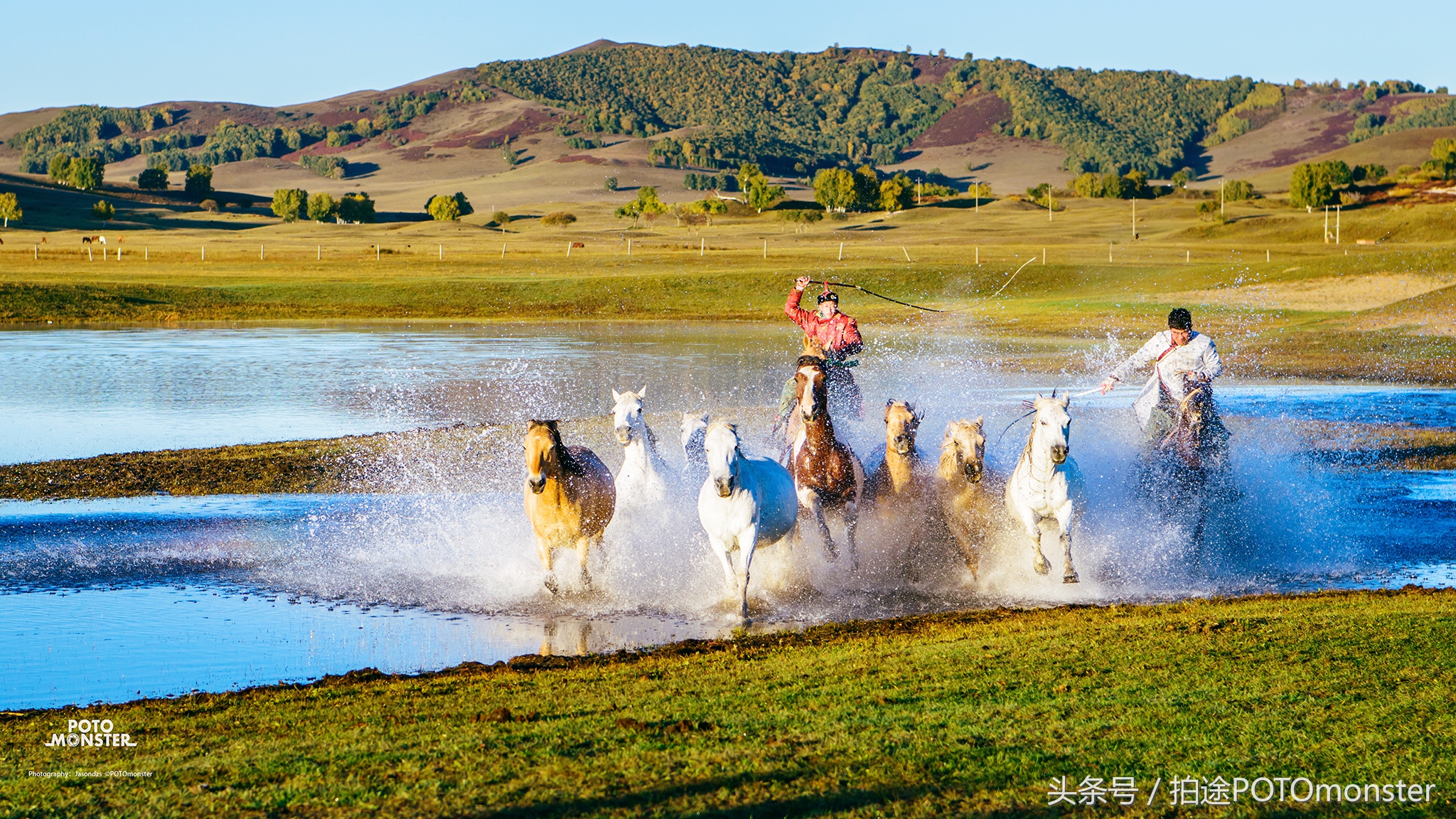 坝上草原奔马摄影作品,坝上草原拍奔马
