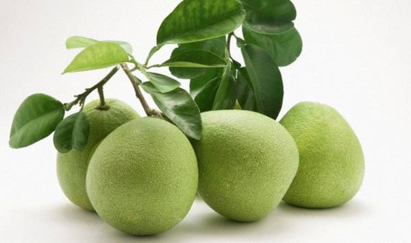 鏌氭粙鏌氬懗姘存灉,鐢熸椿灏辫鏌氭粙鏌氬懗