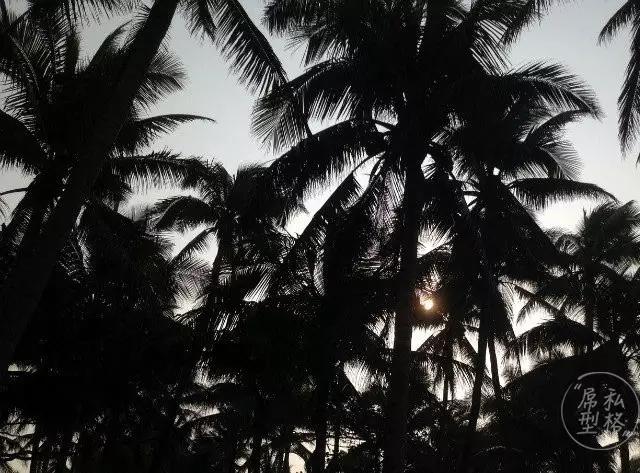 爱骑单车的男生,男生骑单车姿势超帅