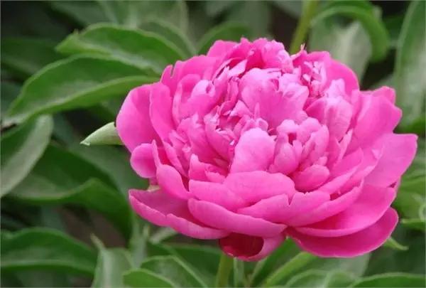 保定你竟然这么花!我真是看错你了!