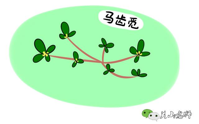 一位广东孕妈的哭诉,一只螃蟹引发的流产,惊醒千万孕妈!