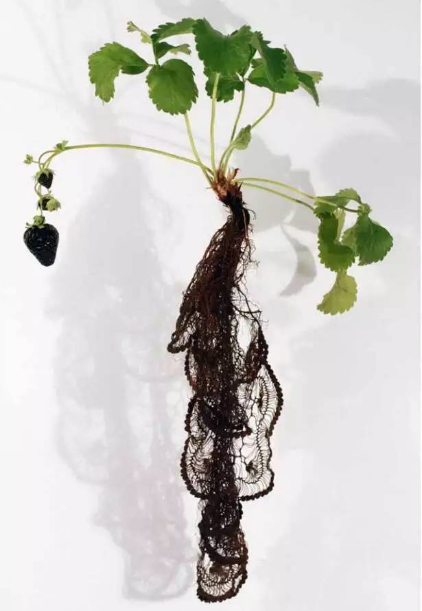 时尚衣服发展趋势,时尚界变化趋势