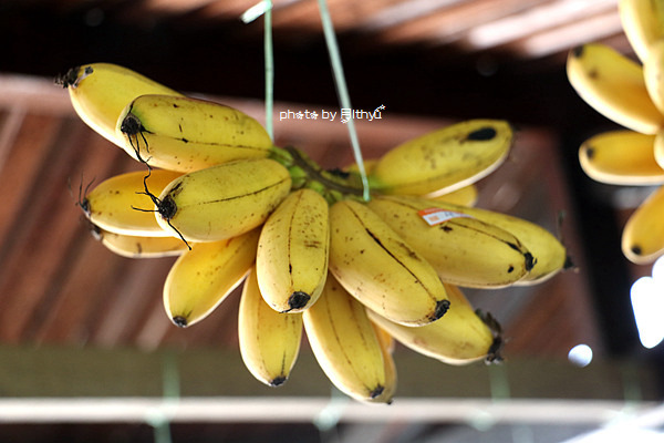 沙巴4天自由行攻略 (沙巴5天之旅)