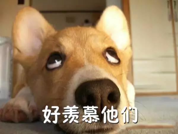 就算70岁，还是想看这群人在一起打僵尸！