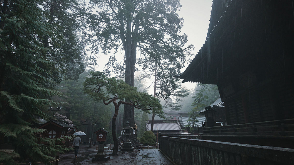 #与索尼为5#赏樱之旅之三：暴雨中方见机身防水之本色！