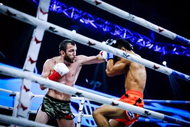 杨茁vs一龙,杨茁对一龙