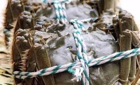 高淳蟹农教你妙招挑螃蟹和保存