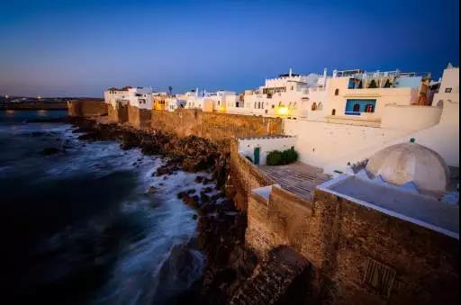 喵星人｜铲屎大大，发现一个超适合撸猫的地方……